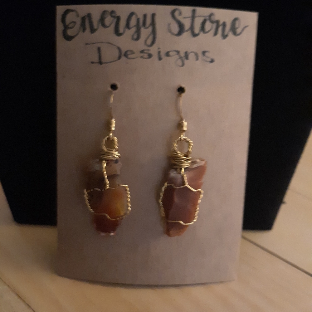 Petrified wood earrings